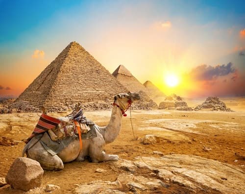 Cairo Pyramids & Grand Egyptian Museum Tour from Safaga Port