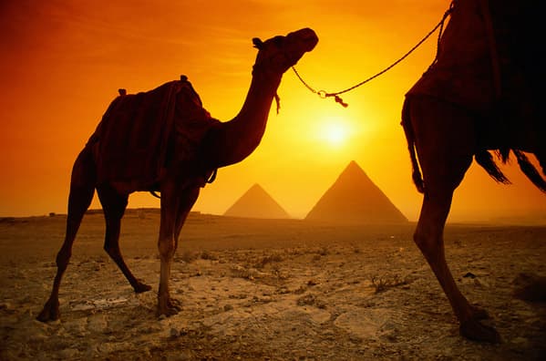 2 Days Trip to Cairo from Alexandria Port